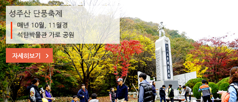 성주산 단풍축제 매년 10월, 11월경 석탄박물관 가로 공원